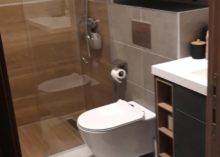 公寓 Tara Panorama - Bor Lux